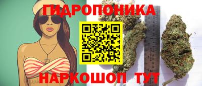 jwh Аргун