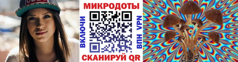 Псилоцибиновые грибы Cubensis  Белгород 