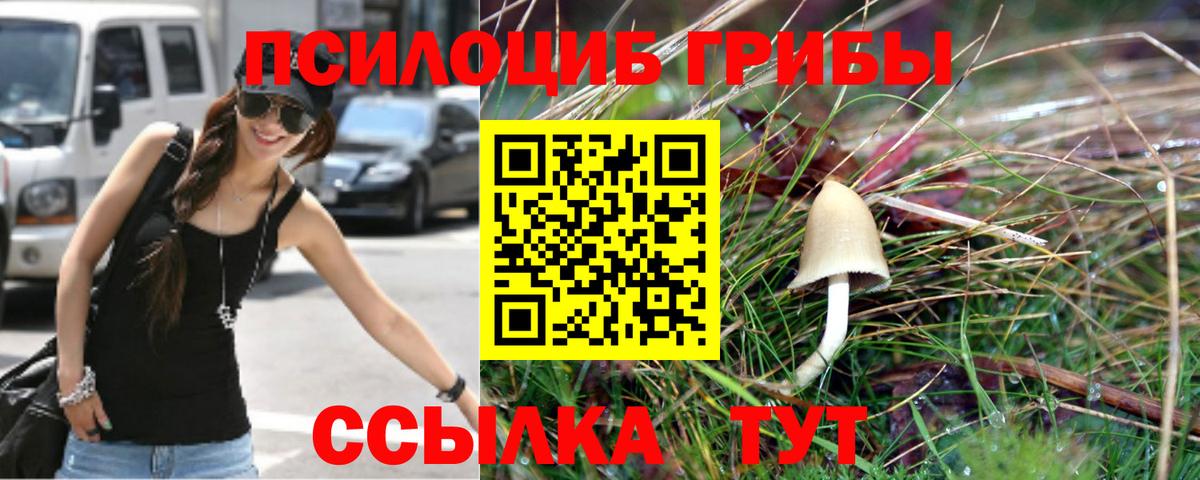 Галлюциногенные грибы мухоморы Белгород